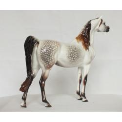 Ahzam, Arabian Stallion - Dapple Mulberry / Rose Grey