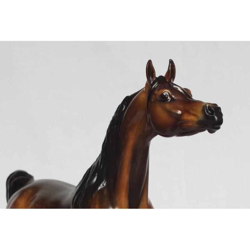 Ahzam, Arabian Stallion - Dapple Bay