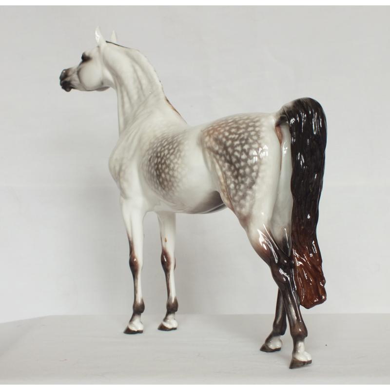 Ahzam, Arabian Stallion - Dapple Mulberry / Rose Grey
