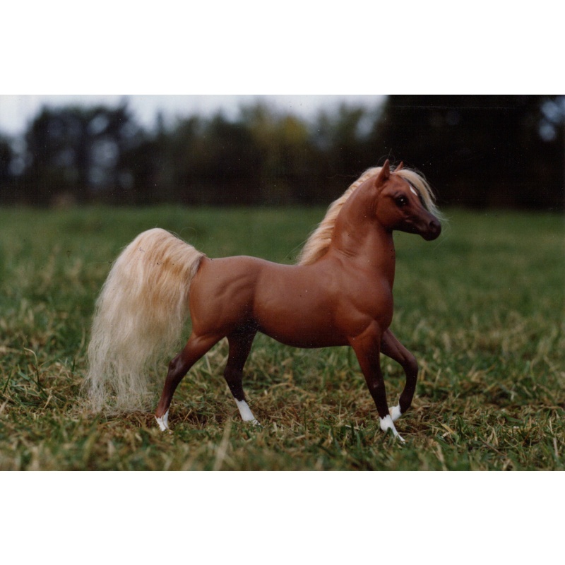 Model Horse - Test - Take 2