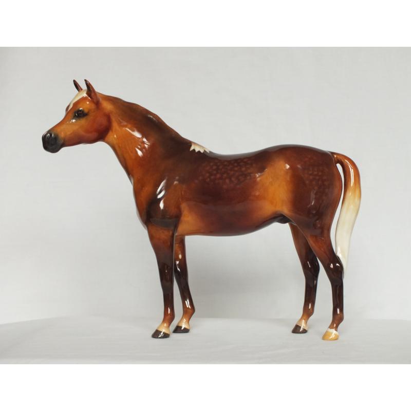 Beswick Bahram Arabian Stallion - Dapple Chestnut