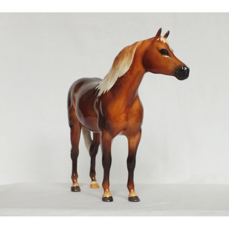 Beswick Bahram Arabian Stallion - Dapple Chestnut