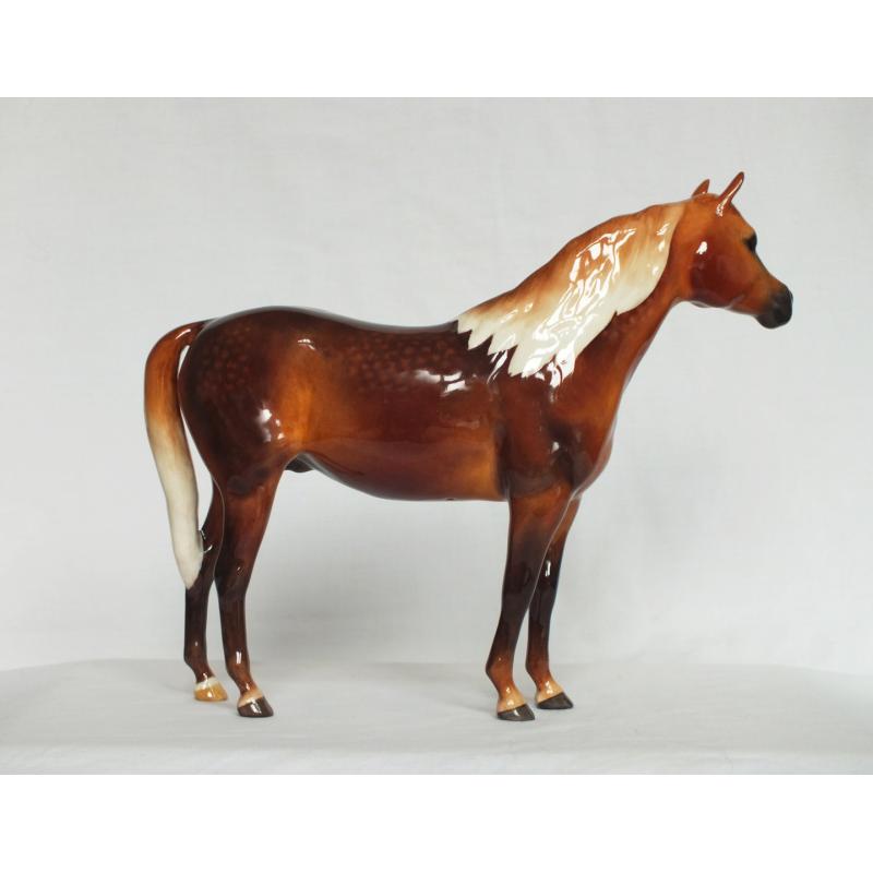 Beswick Bahram Arabian Stallion - Dapple Chestnut