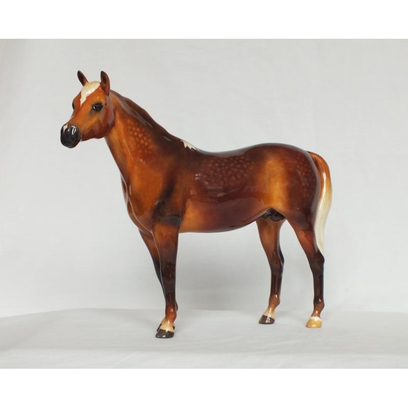 Beswick Bahram Arabian Stallion - Dapple Chestnut