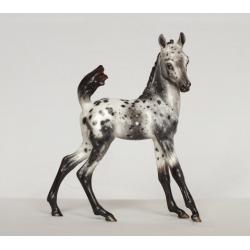 Biendecado - Roan Appaloosa Foal