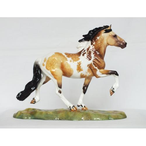 Bjalla, Icelandic Pony Mare