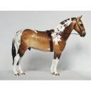Cleveland Bay Stallion Mold - Custom to Buckskin Pinto