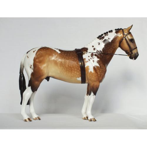Cleveland Bay Stallion Mold - Custom to Buckskin Pinto