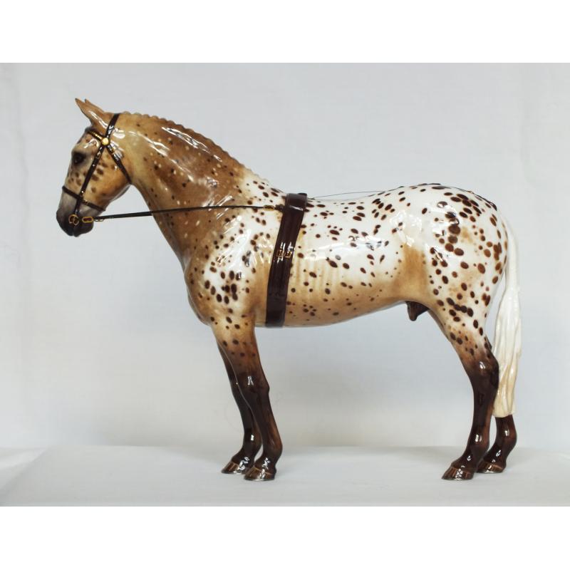 Cleveland Bay Stallion - Custom to Appaloosa Sport Horse