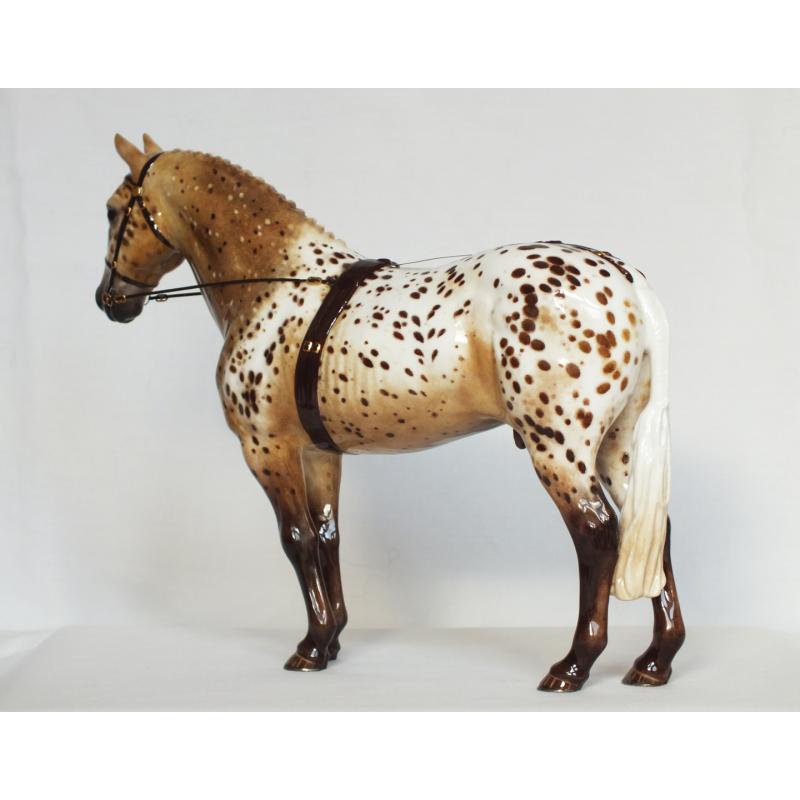 Cleveland Bay Stallion - Custom to Appaloosa Sport Horse