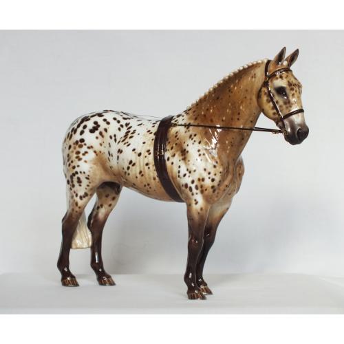 Cleveland Bay Stallion - Custom to Appaloosa Sport Horse