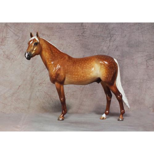 Carlito - Dapple Golden Palomino