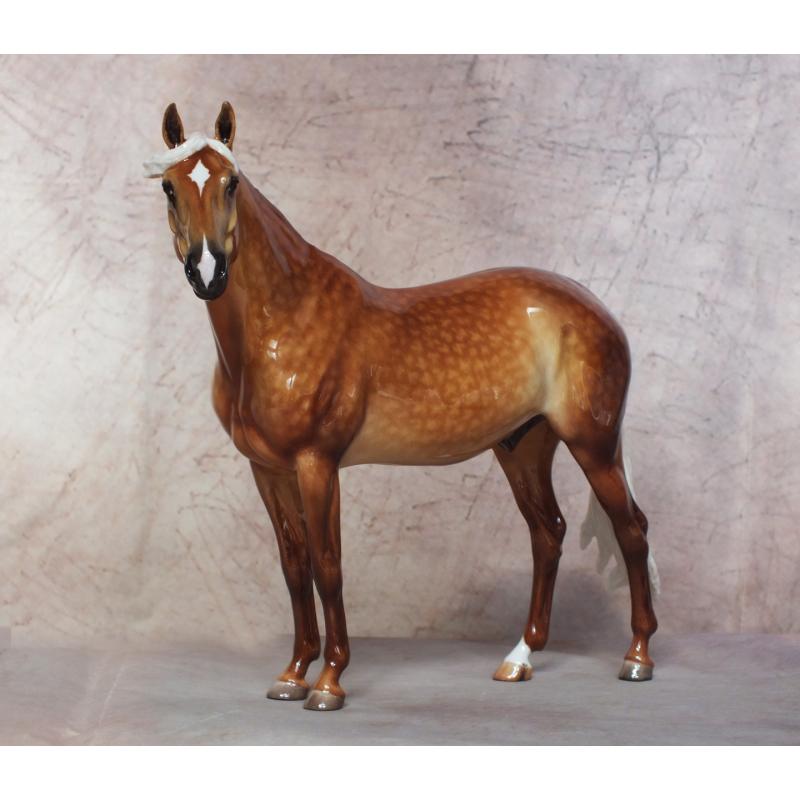 Carlito - Dapple Golden Palomino