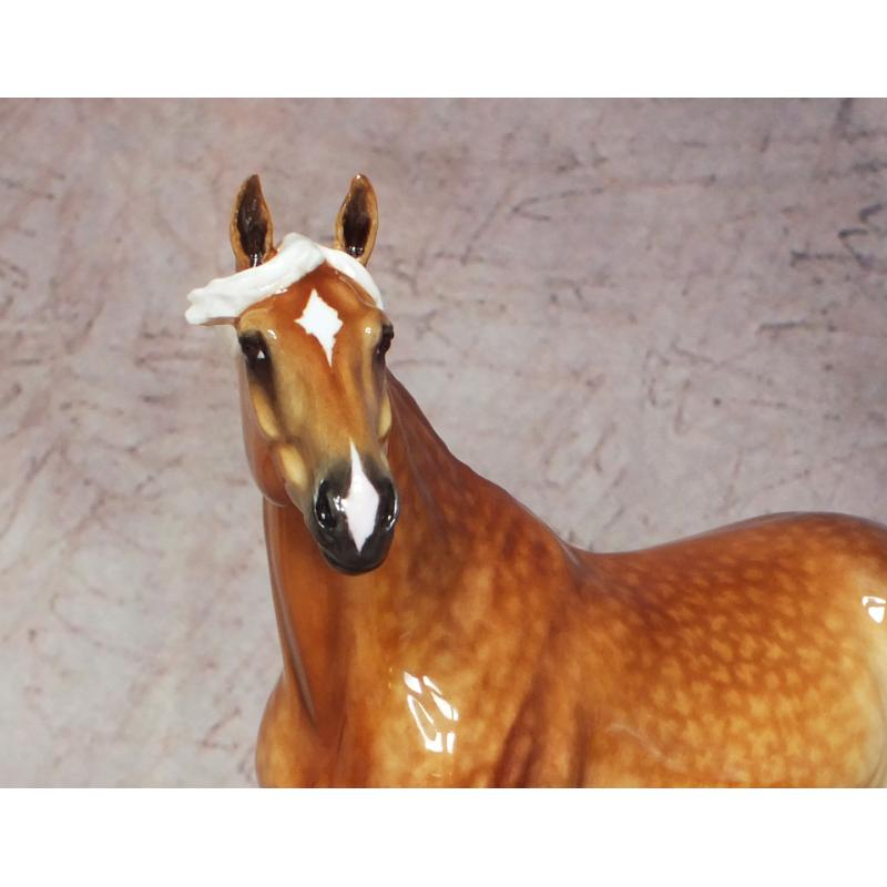 Carlito - Dapple Golden Palomino