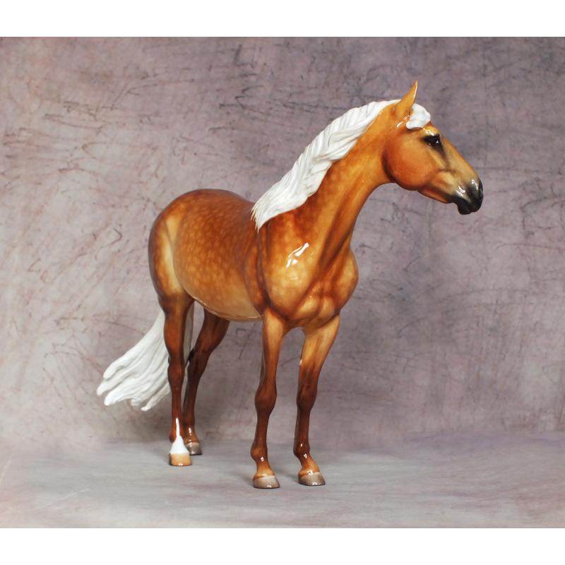 Carlito - Dapple Golden Palomino