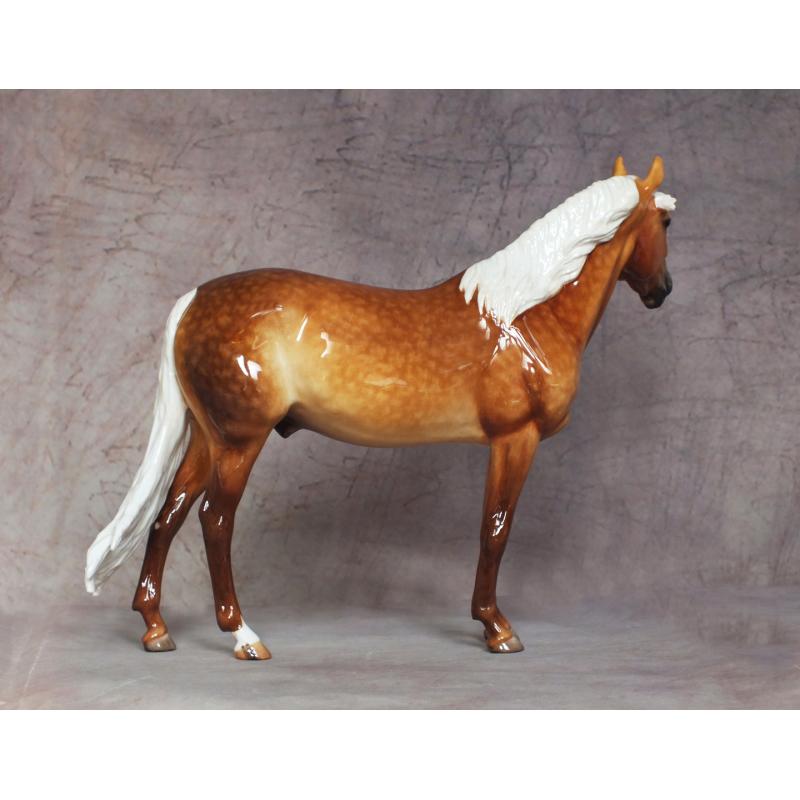 Carlito - Dapple Golden Palomino