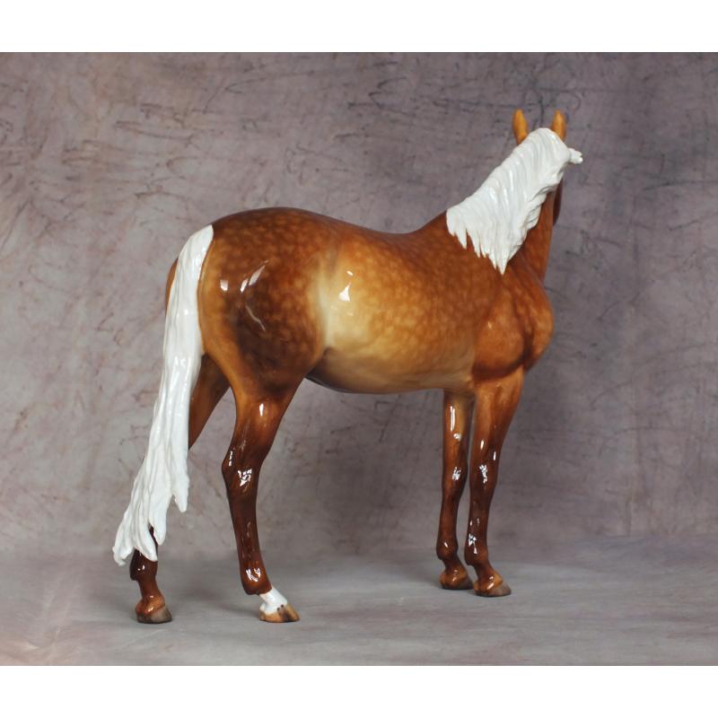 Carlito - Dapple Golden Palomino