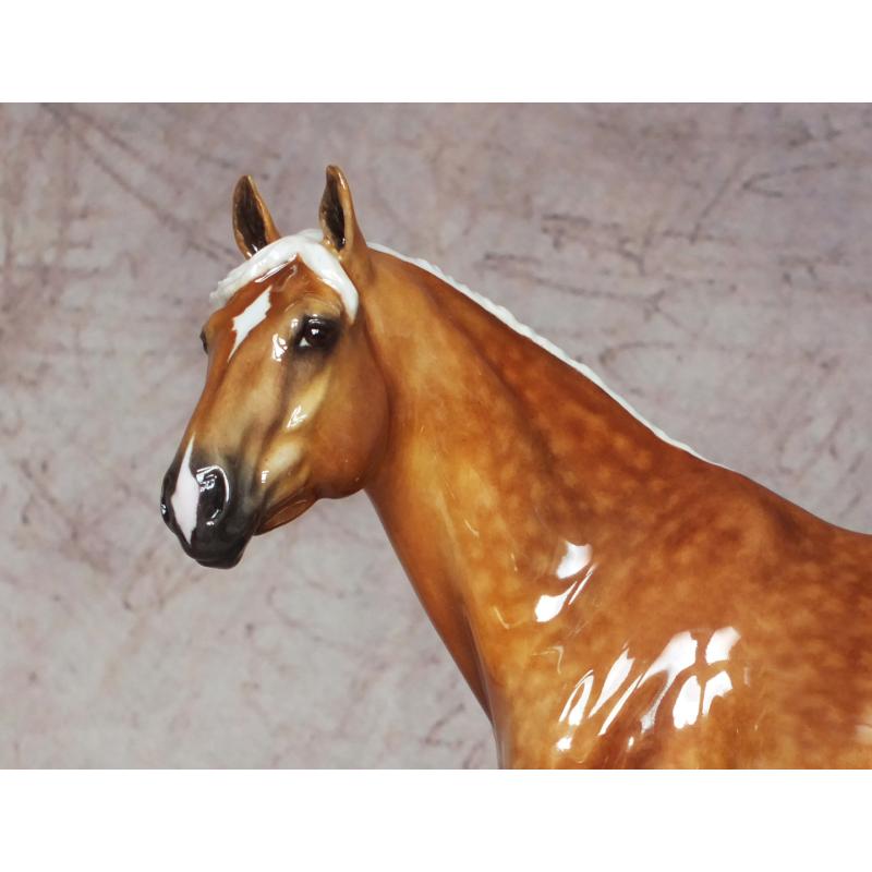 Carlito - Dapple Golden Palomino