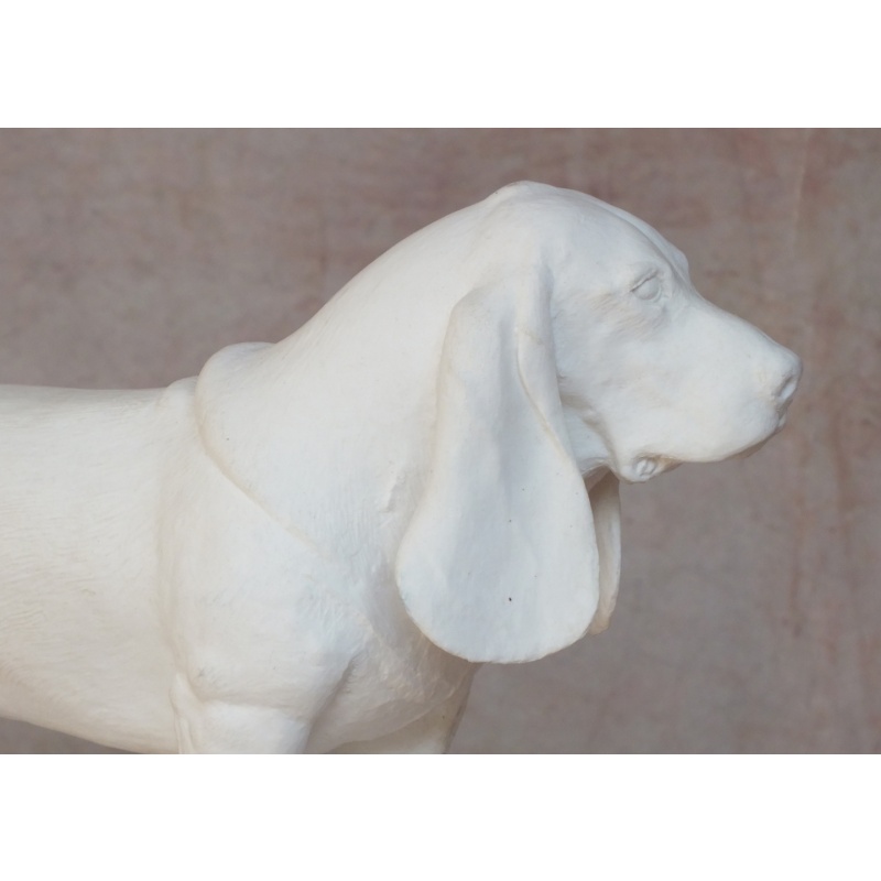 Basset Hound - Fine Bone China Bisque - Very Rare