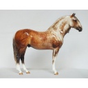 El Monumento, Andalusian Stallion