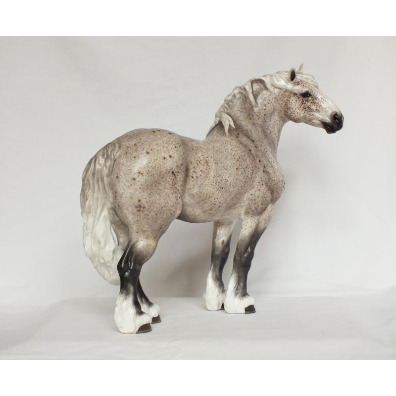 Gustav, Draft Stallion - Flea bitten Grey