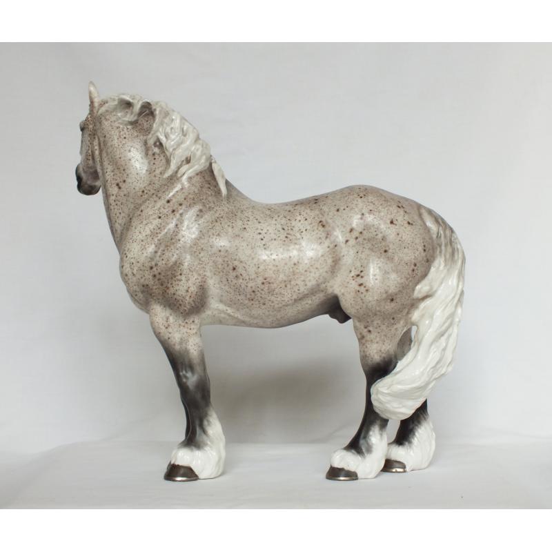 Gustav, Draft Stallion - Flea bitten Grey