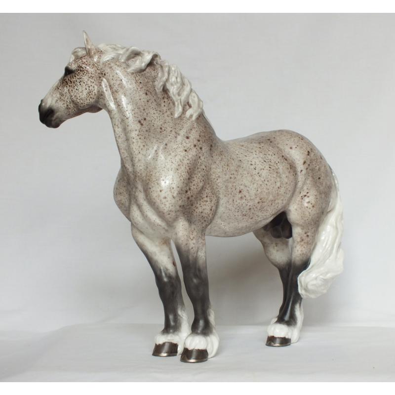 Gustav, Draft Stallion - Flea bitten Grey