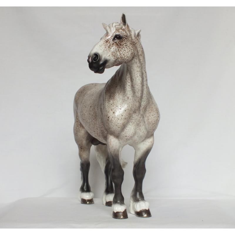 Gustav, Draft Stallion - Flea bitten Grey