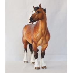 Gustav, European Draft Horse - Dapple Golden Bay
