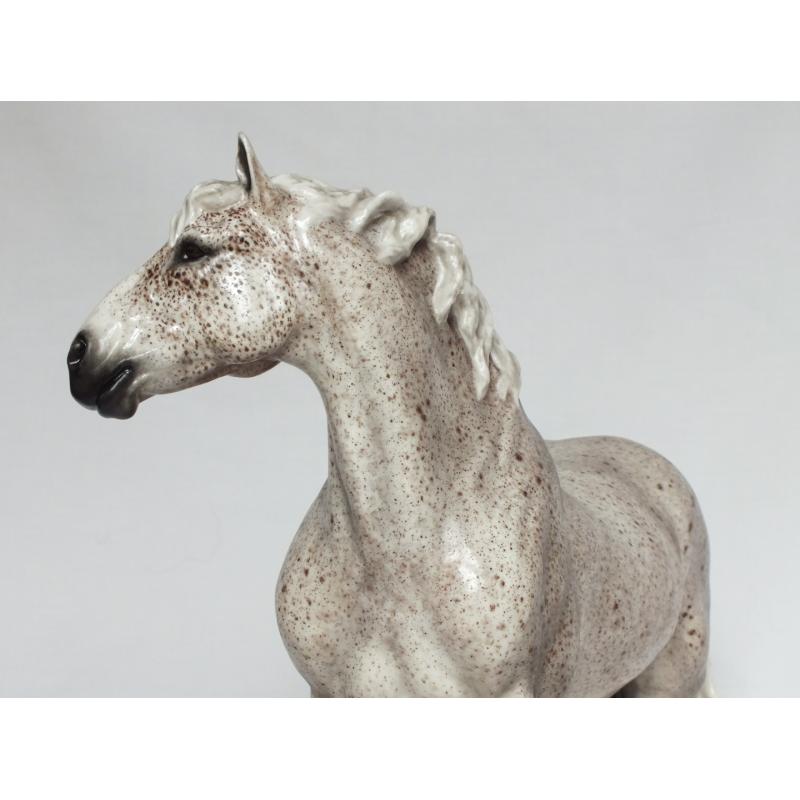 Gustav, Draft Stallion - Flea bitten Grey