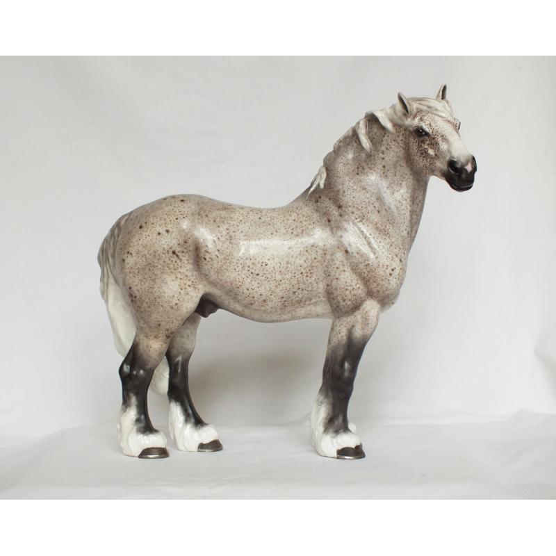 Gustav, Draft Stallion - Flea bitten Grey