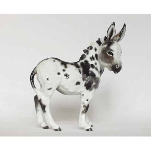 Kaiser Donkey - Grey and White Spotted