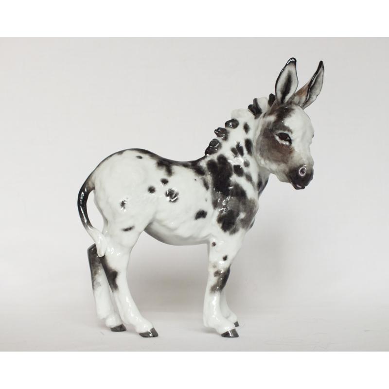 Kaiser Donkey - Grey and White Spotted