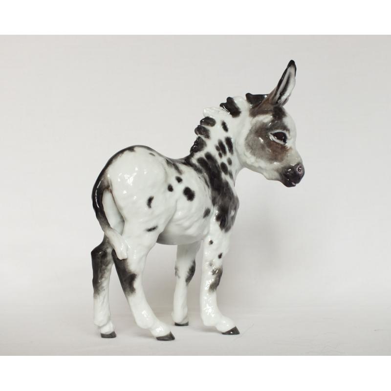 Kaiser Donkey - Grey and White Spotted