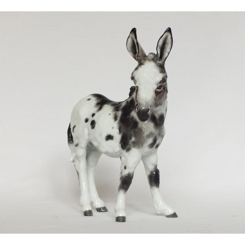 Kaiser Donkey - Grey and White Spotted