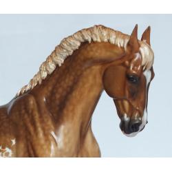 Lohengrin, Warmblood Stallion - Dapple Chestnut