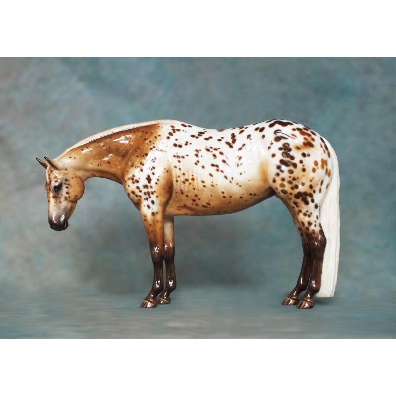 Lola, Stock Horse Mare - Appaloosa