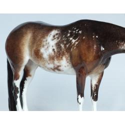 Lola, Stock Horse mare