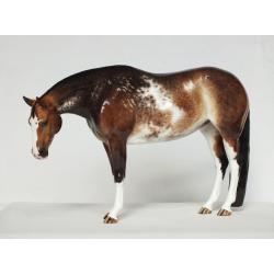 Lola, Stock Horse mare