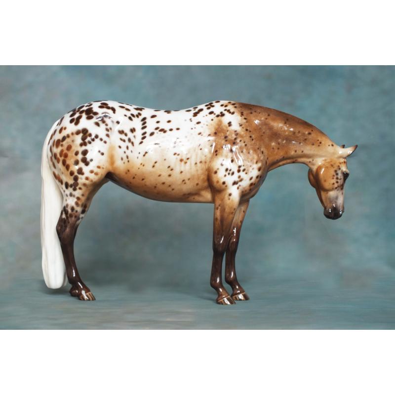 Lola, Stock Horse Mare - Appaloosa