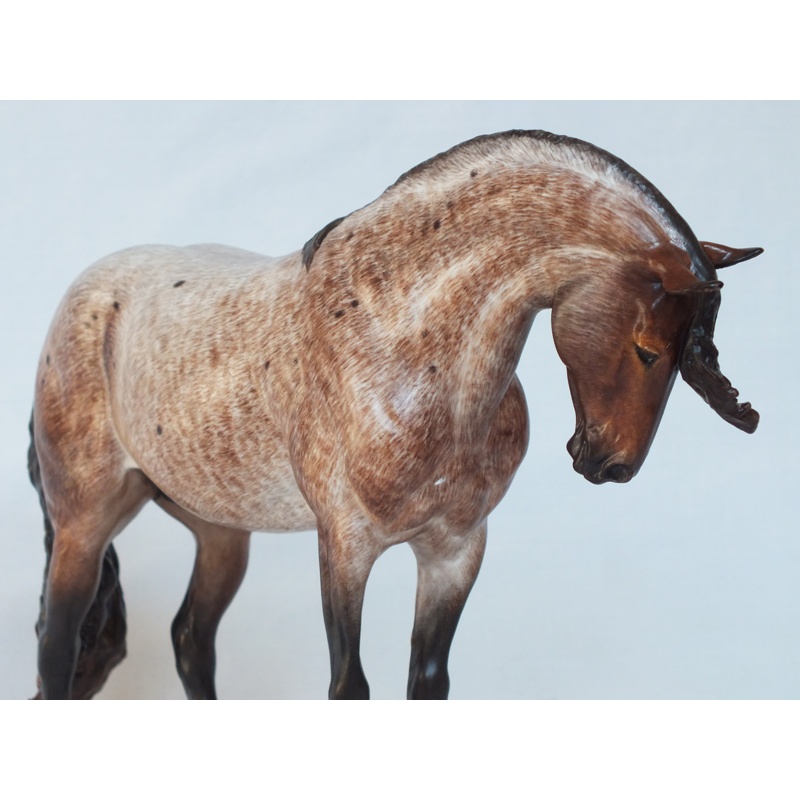 Maxixe de Barrios, Original Finish Bay Roan - Long Sold Out Edition