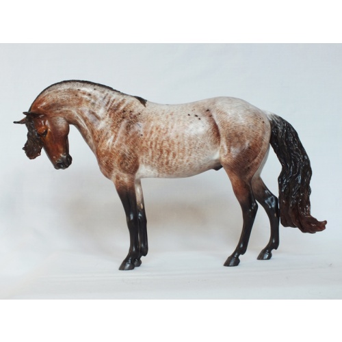 Maxixe de Barrios, Original Finish Bay Roan - Long Sold Out Edition