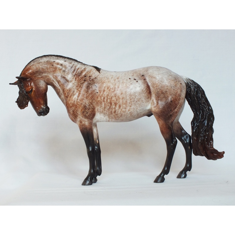 Maxixe de Barrios, Original Finish Bay Roan - Long Sold Out Edition