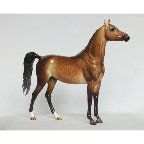 Nazeer, Arabian Stallion - Rose Dapple Grey