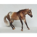 Octopussy, Stock Horse Mare - Appaloosa