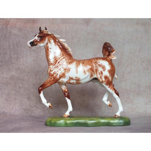 Pasquita, Arabian Mare