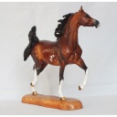 Pasquita, Arabian Mare - Dapple Bay Sabino