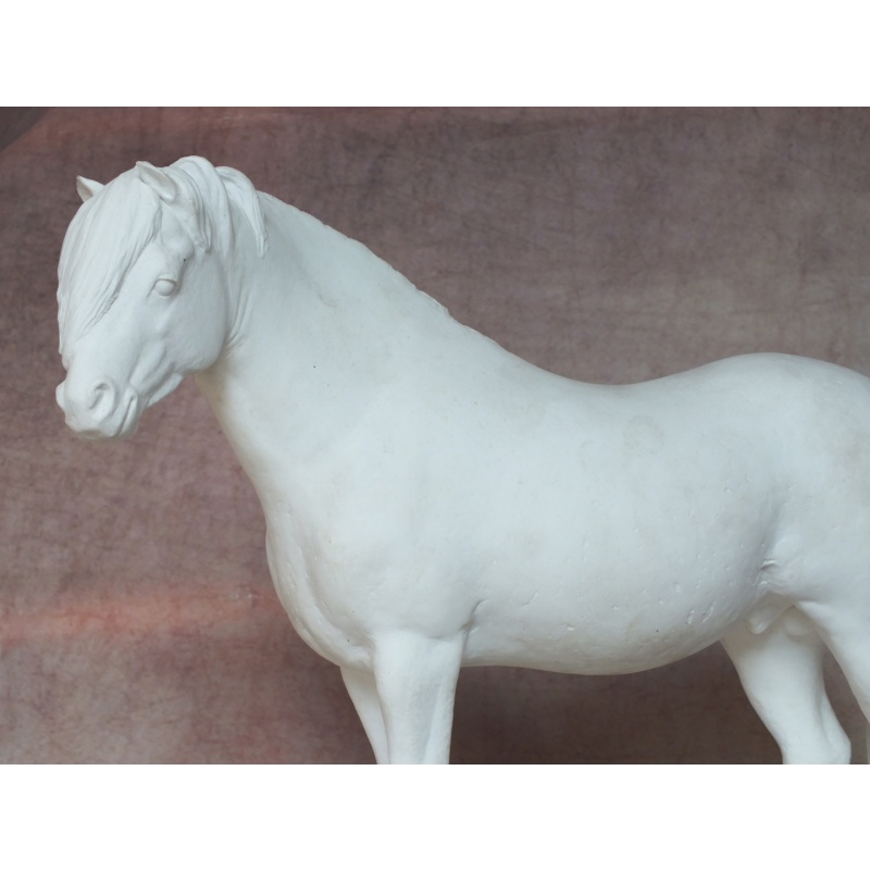 Welsh Pony - Fine Bone China Bisque - Very Rare - Shorter Forelock Version