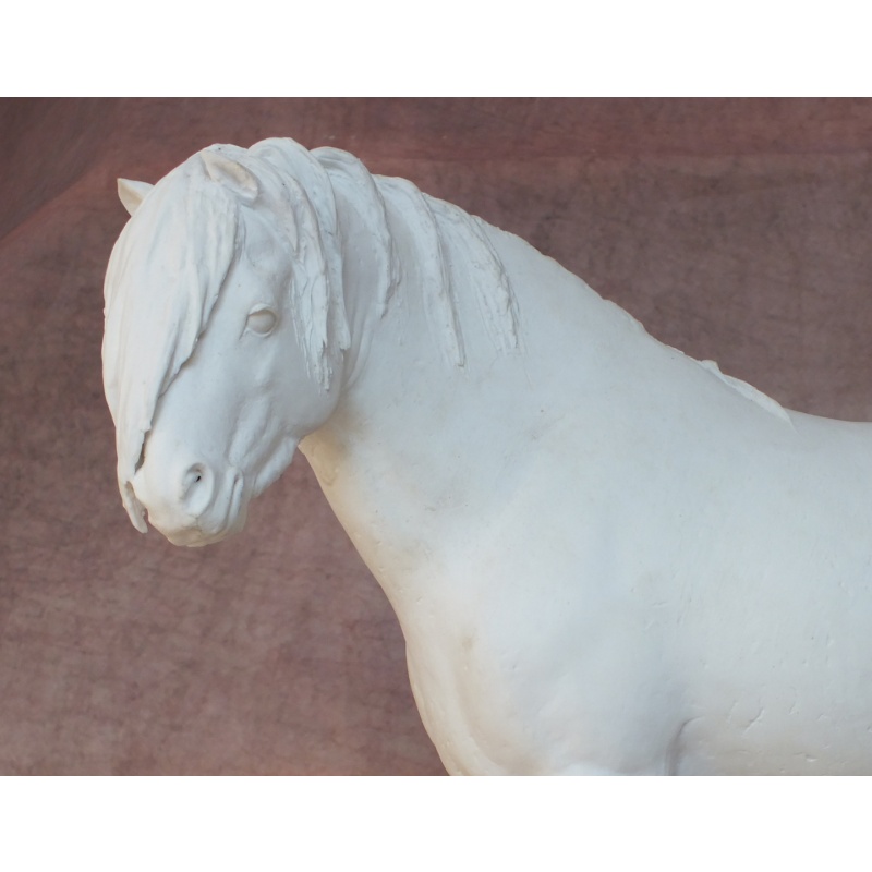 Welsh Pony - Fine Bone China Bisque - Very Rare - Longer Forelock Version