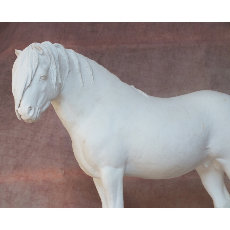 Welsh Pony - Fine Bone China Bisque - Very Rare - Longer Forelock Version
